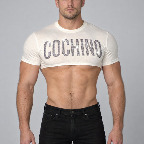 Cochino