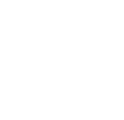 Boy Culture